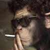 this_tizio